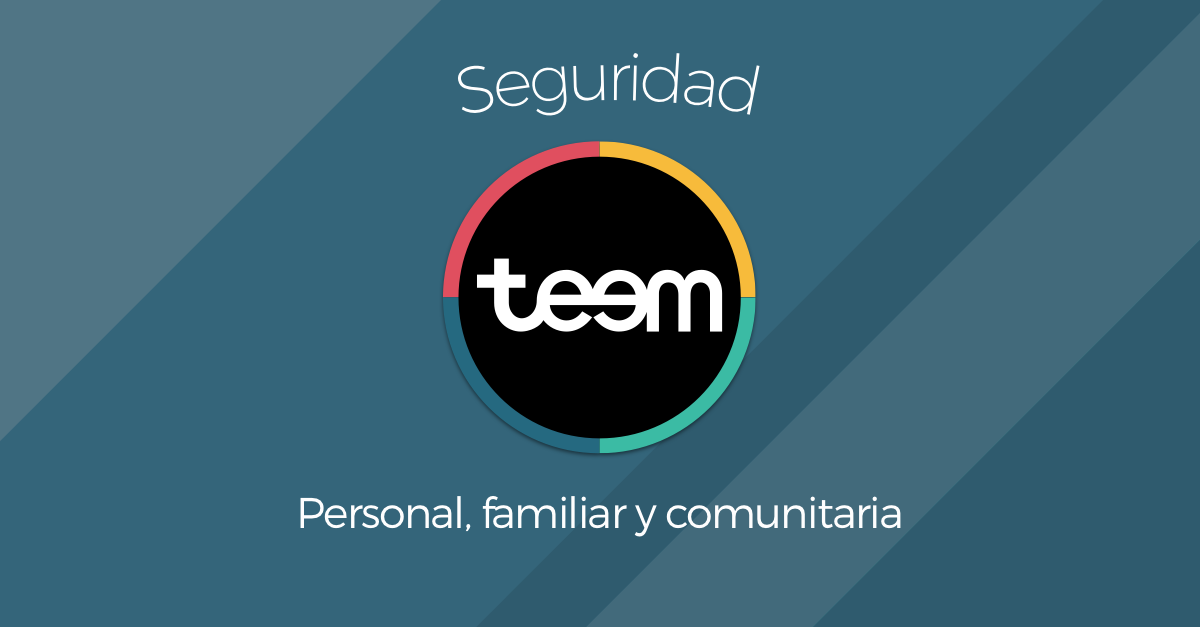 Teem seguridad