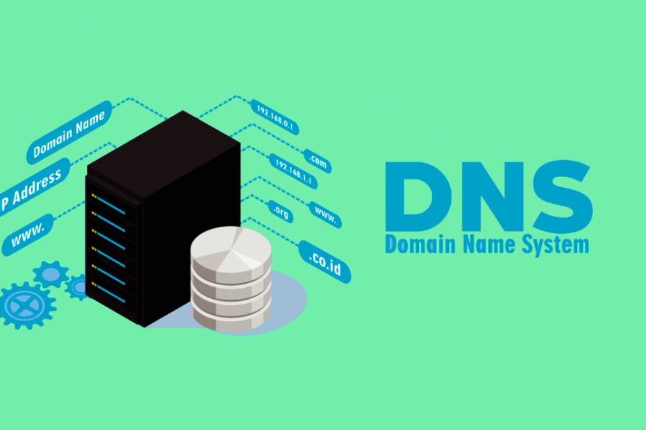 portada dns