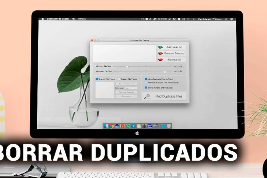 Borrar las fotos duplicadas