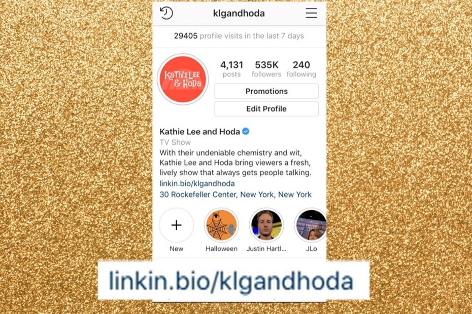 Link in Bio en Instagram