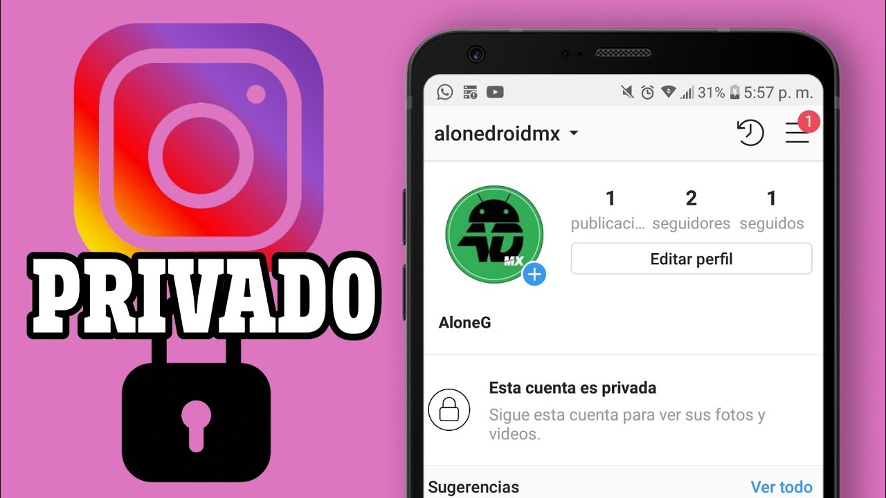¿Cómo ver una cuenta privada de Instagram?