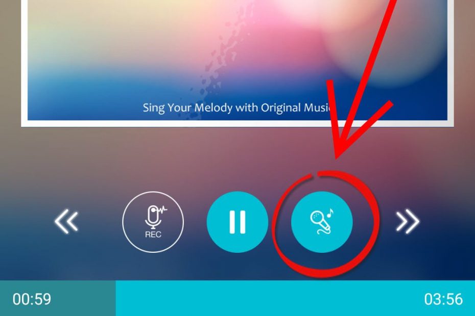quitar voz cancion android app edited