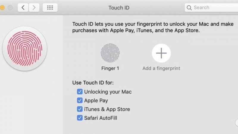 desactivar el Touch ID